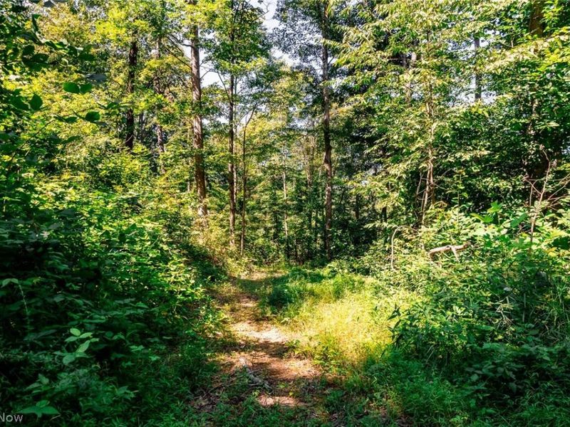 Kings Ridge Road , Newcomerstown, OH 43832 Photo 49