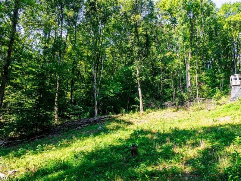 Kings Ridge Road , Newcomerstown, OH 43832 Photo 6