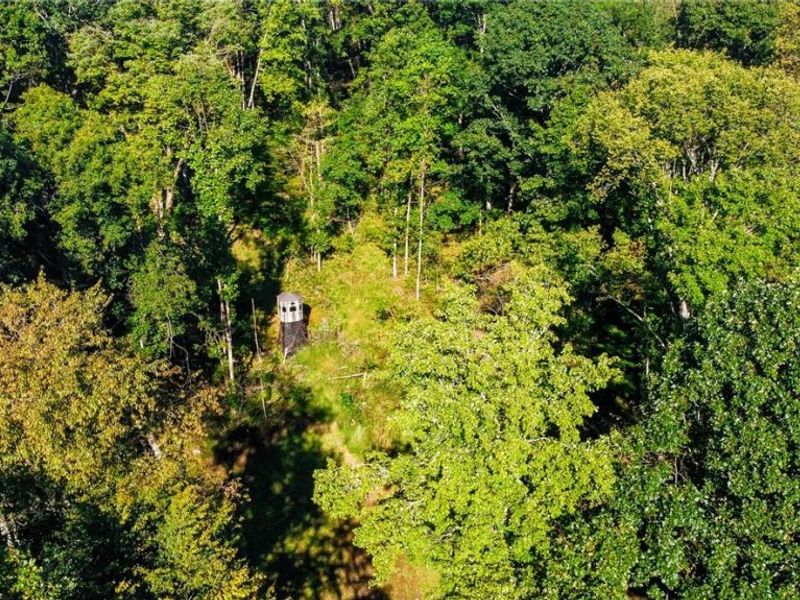 Kings Ridge Road , Newcomerstown, OH 43832 Photo 7