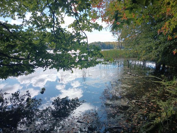 W Nurnberg Road, Free Soil, MI 49411