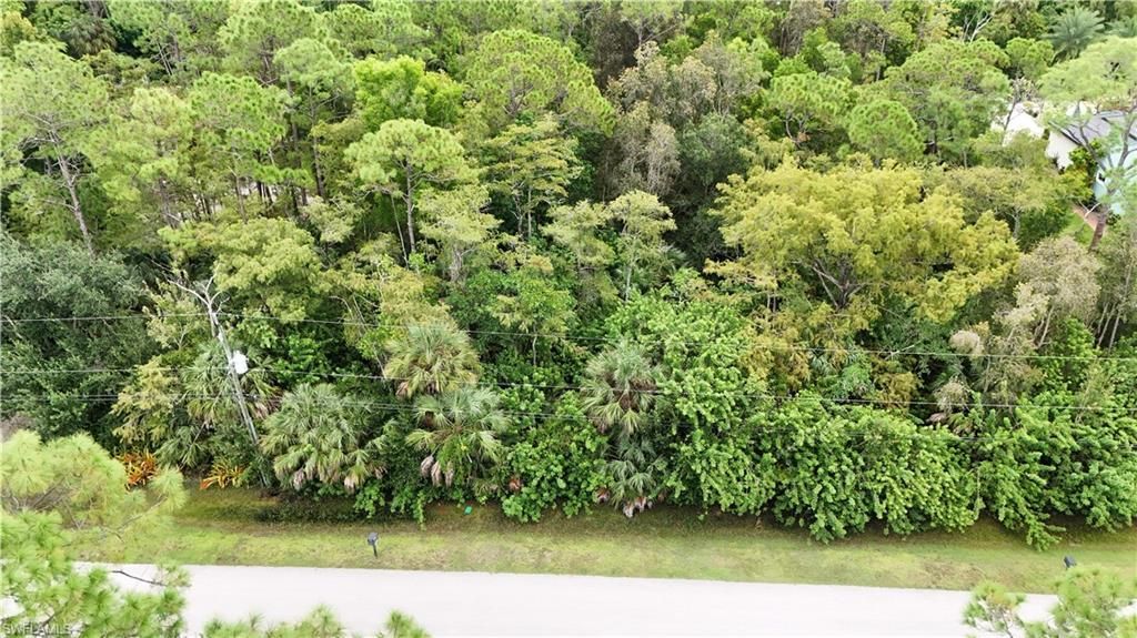 24509 Red Robin Dr, Bonita Springs, FL 34135 Photo
