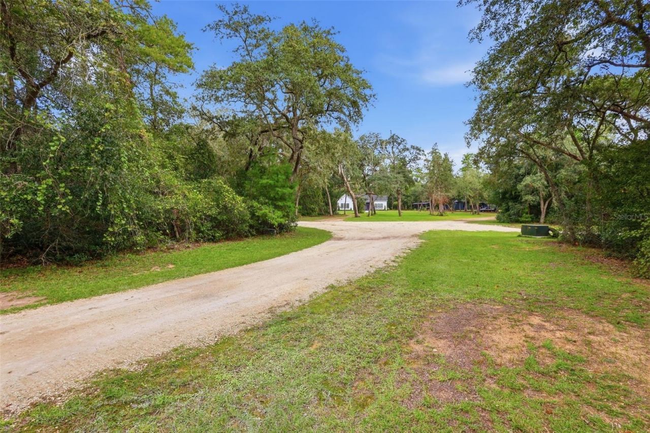 3435 N Highway 314a, Silver Springs, FL 34488 Photo