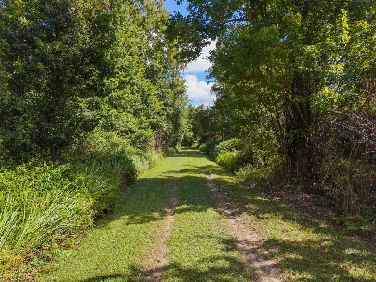 3435 N Highway 314a, Silver Springs, FL 34488 Photo