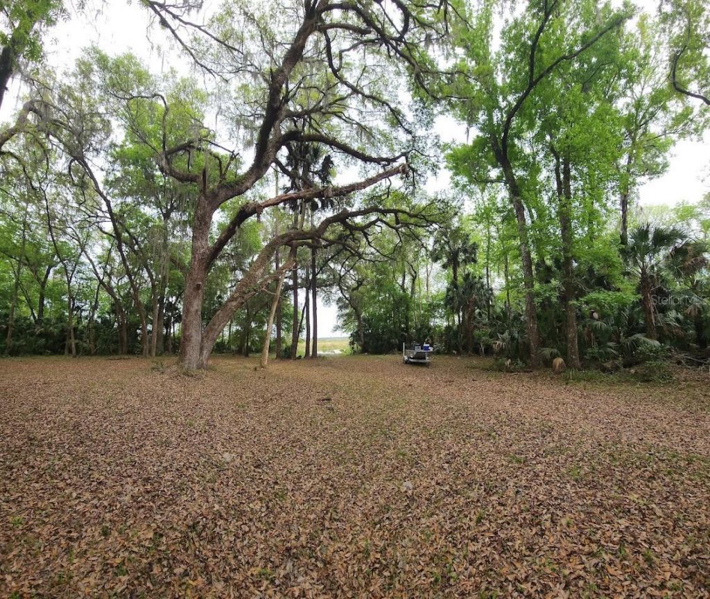 3435 N Highway 314a, Silver Springs, FL 34488 Photo