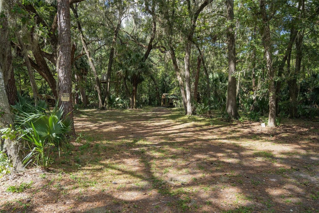 3435 N Highway 314a, Silver Springs, FL 34488 Photo