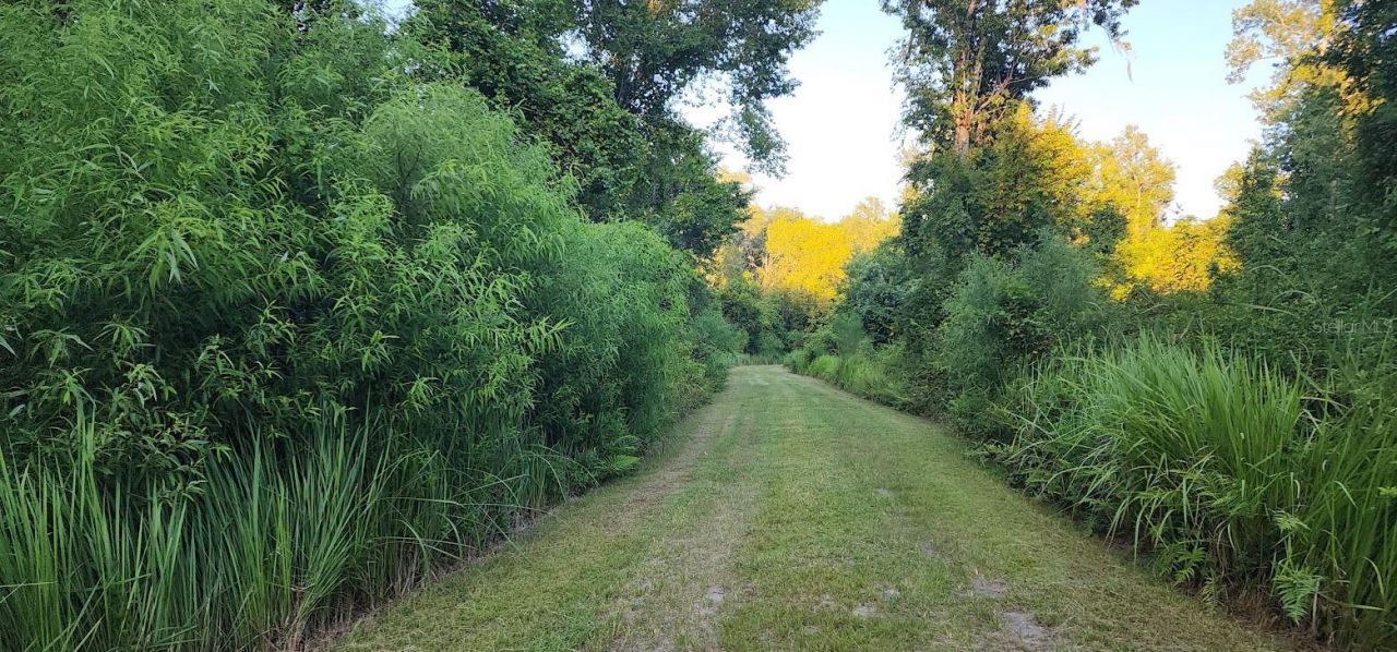 3435 N Highway 314a, Silver Springs, FL 34488 Photo
