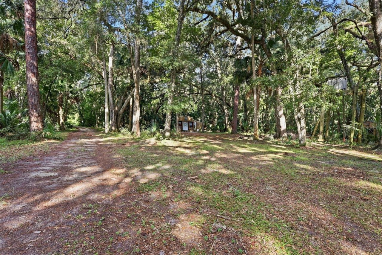 3435 N Highway 314a, Silver Springs, FL 34488 Photo