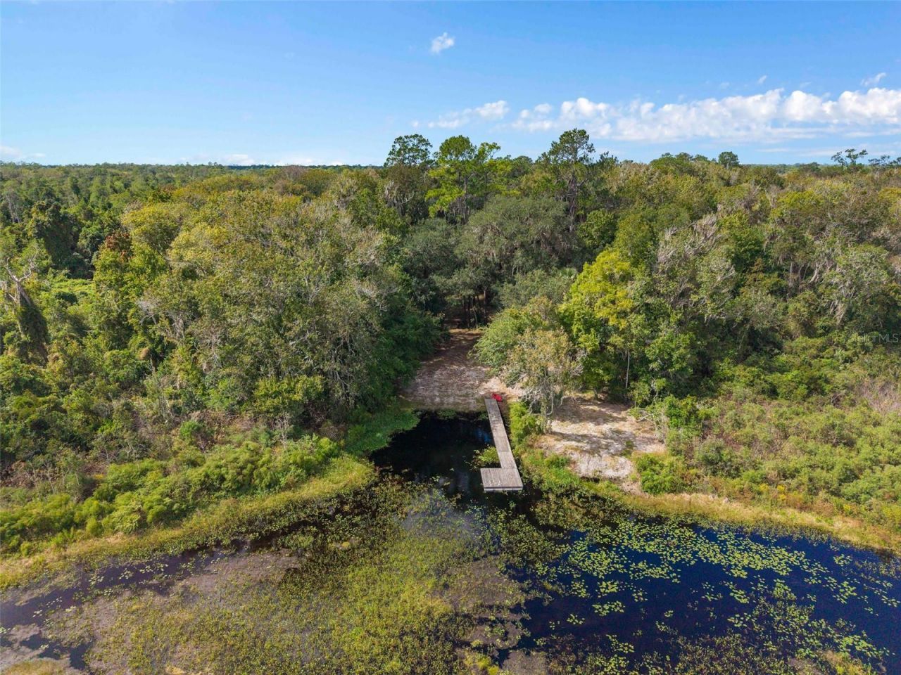 3435 N Highway 314a, Silver Springs, FL 34488 Photo