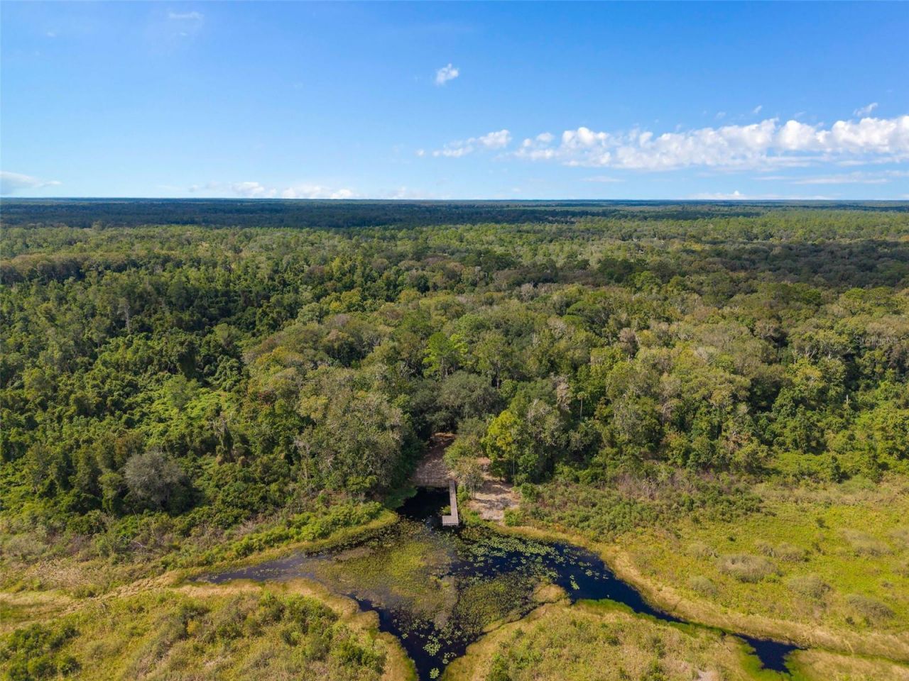 3435 N Highway 314a, Silver Springs, FL 34488 Photo