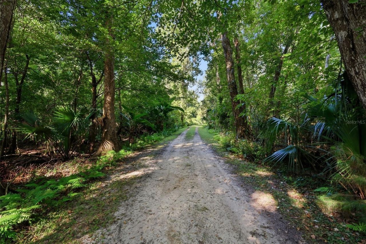 3435 N Highway 314a, Silver Springs, FL 34488 Photo