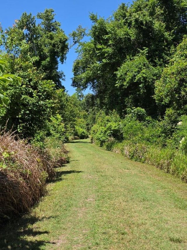 3435 N Highway 314a, Silver Springs, FL 34488 Photo
