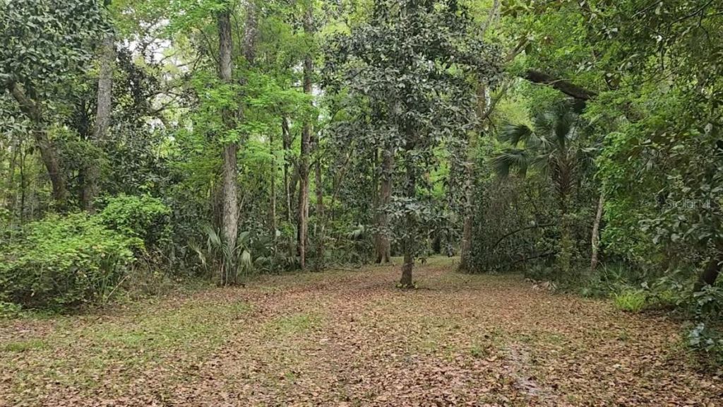 3435 N Highway 314a, Silver Springs, FL 34488 Photo