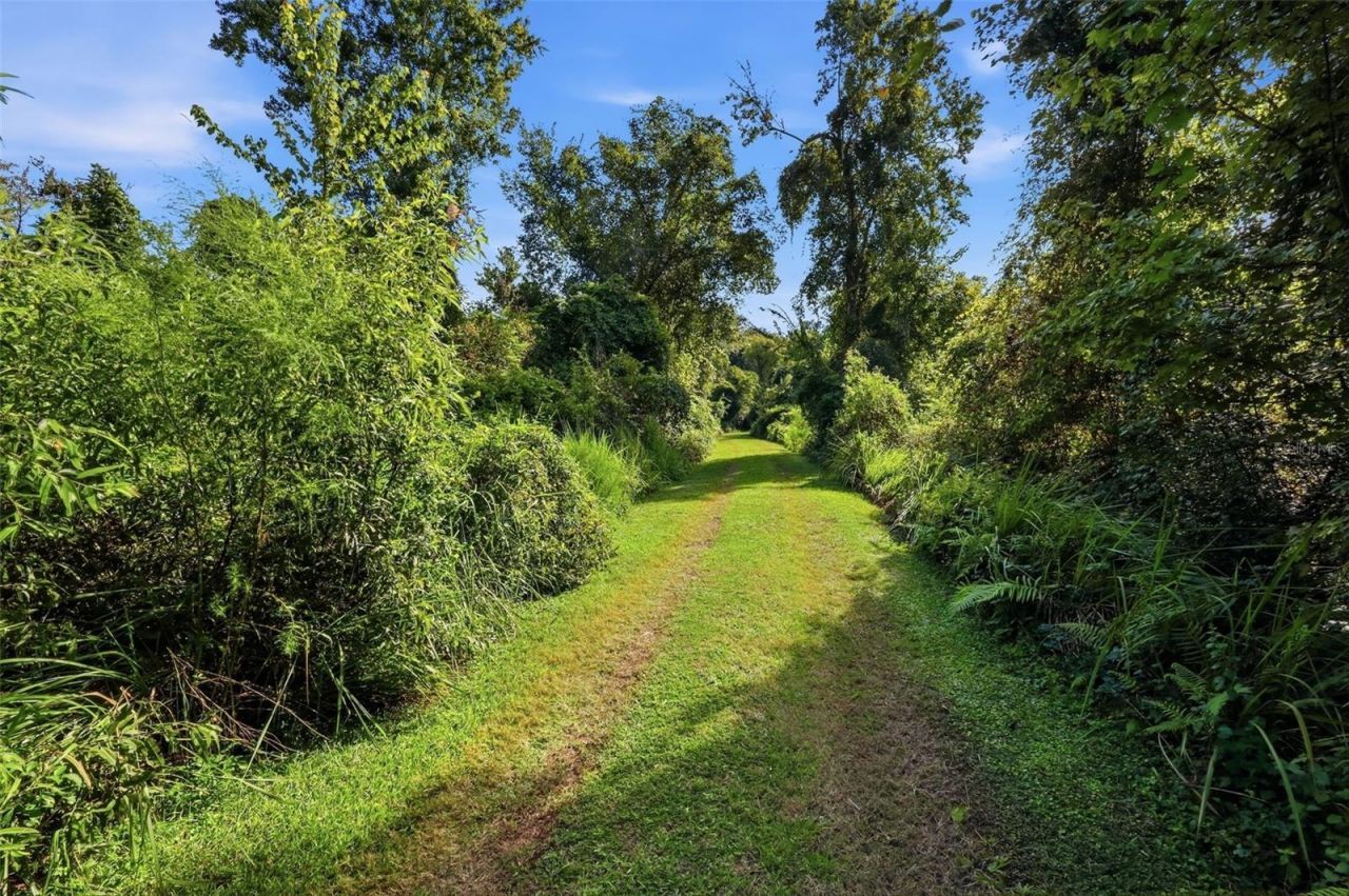 3435 N Highway 314a, Silver Springs, FL 34488 Photo
