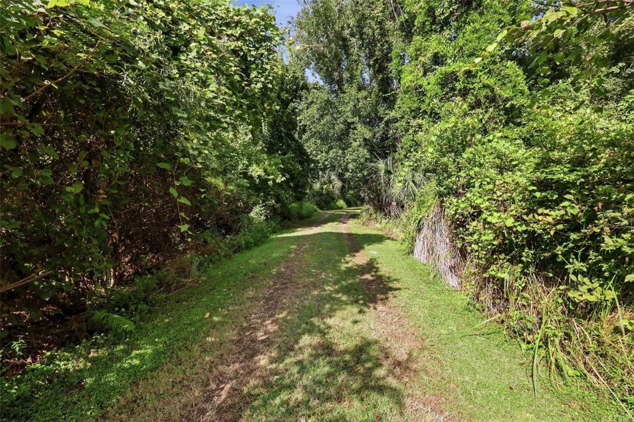 3435 N Highway 314a, Silver Springs, FL 34488 Photo