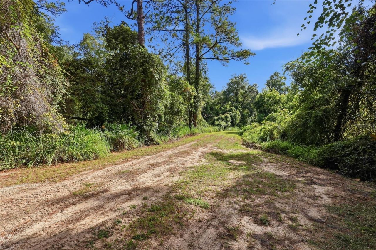 3435 N Highway 314a, Silver Springs, FL 34488 Photo