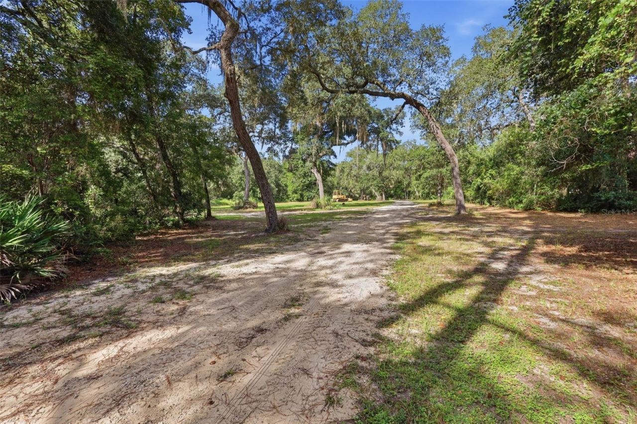 3435 N Highway 314a, Silver Springs, FL 34488 Photo