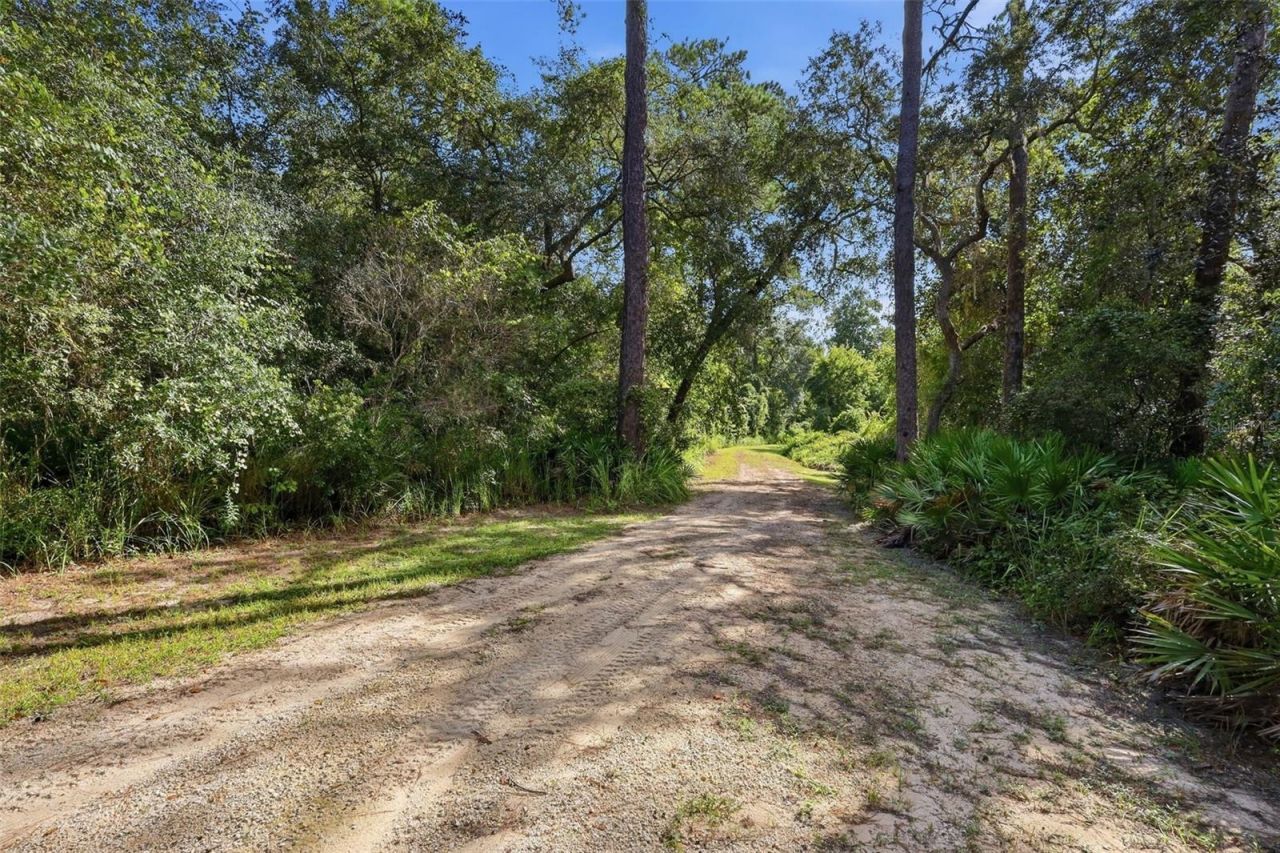 3435 N Highway 314a, Silver Springs, FL 34488 Photo