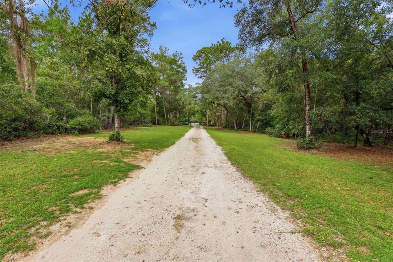 3435 N Highway 314a, Silver Springs, FL 34488 Photo
