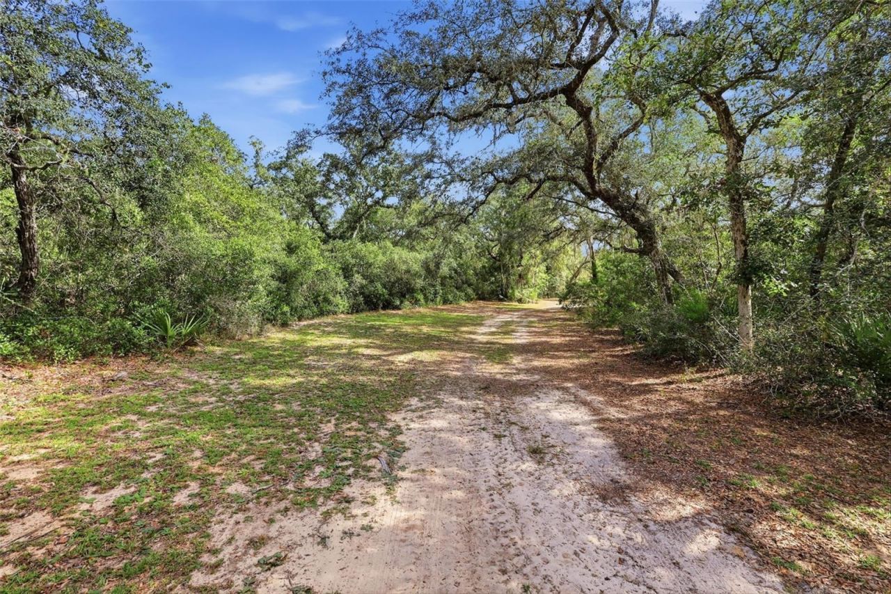 3435 N Highway 314a, Silver Springs, FL 34488 Photo