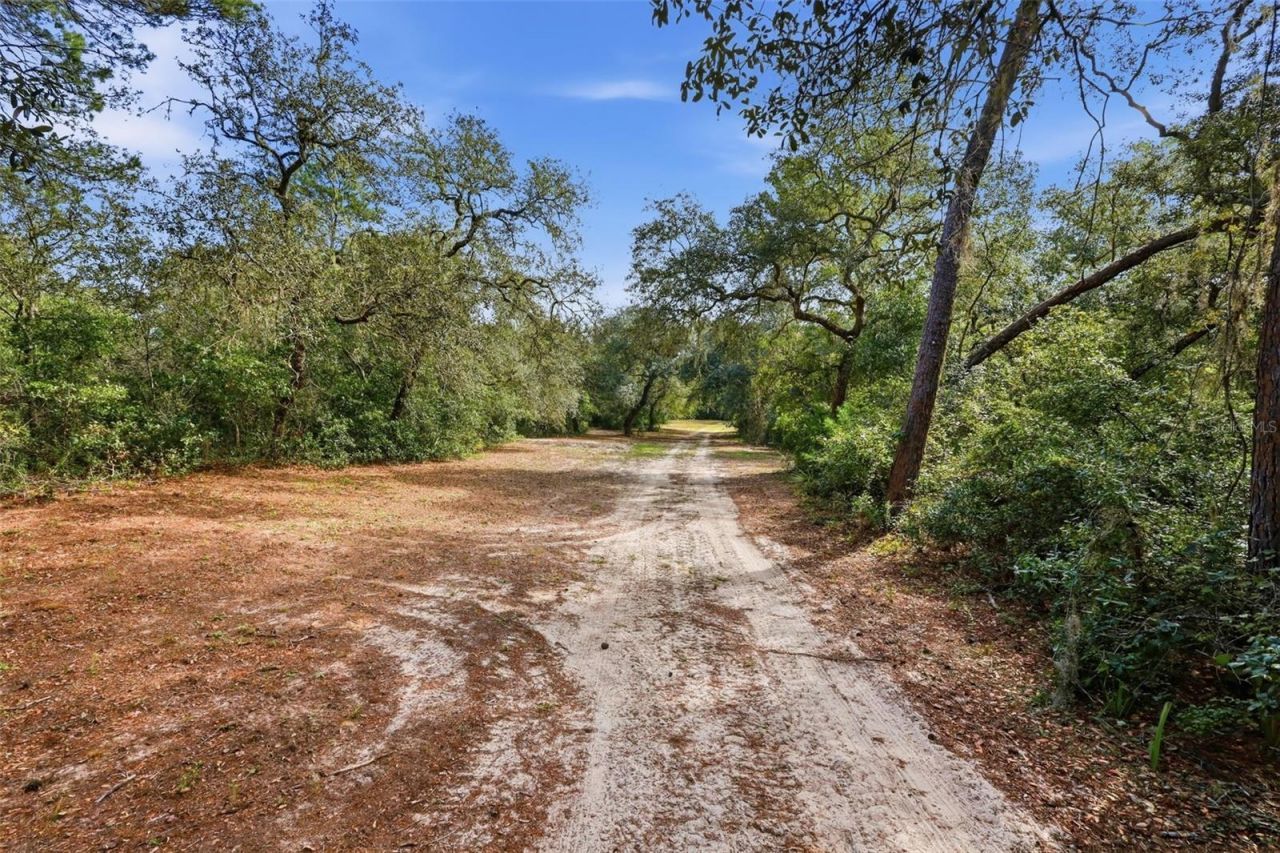 3435 N Highway 314a, Silver Springs, FL 34488 Photo