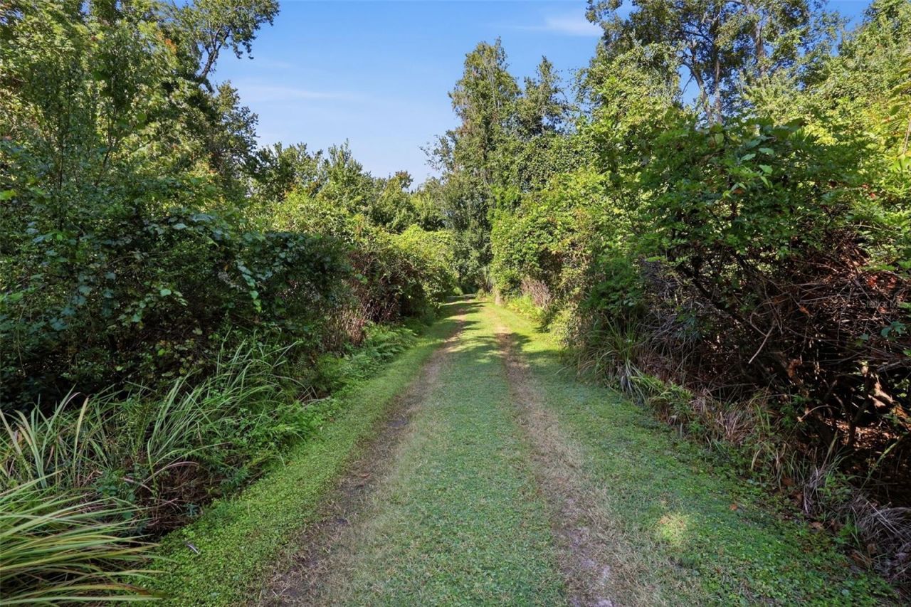 3435 N Highway 314a, Silver Springs, FL 34488 Photo