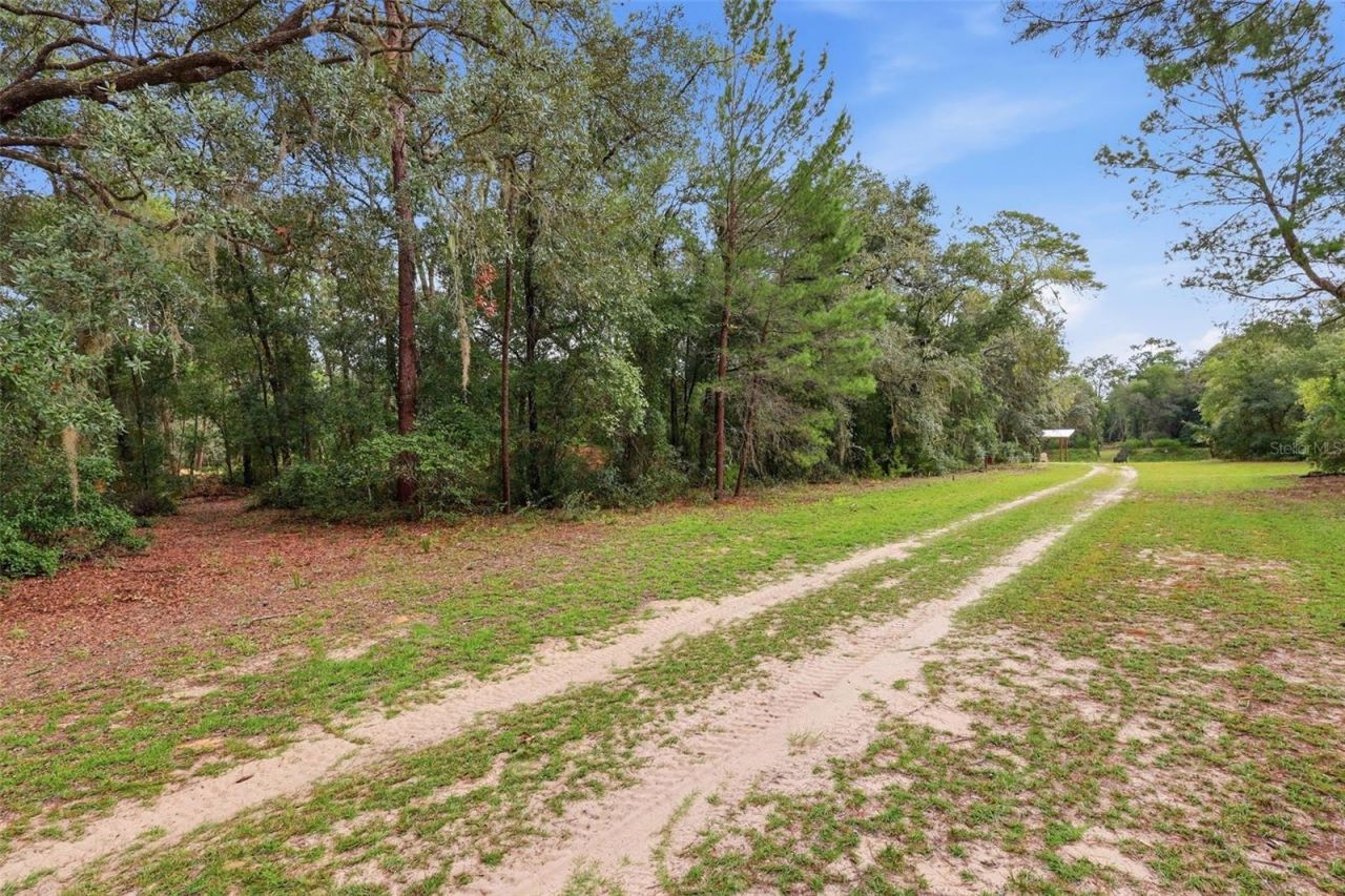 3435 N Highway 314a, Silver Springs, FL 34488 Photo