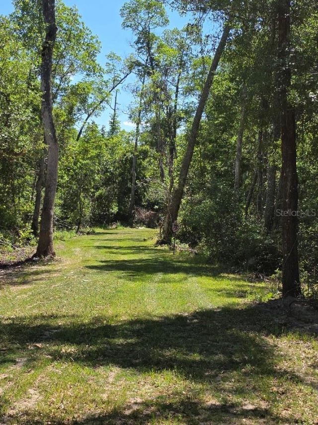 3435 N Highway 314a, Silver Springs, FL 34488 Photo