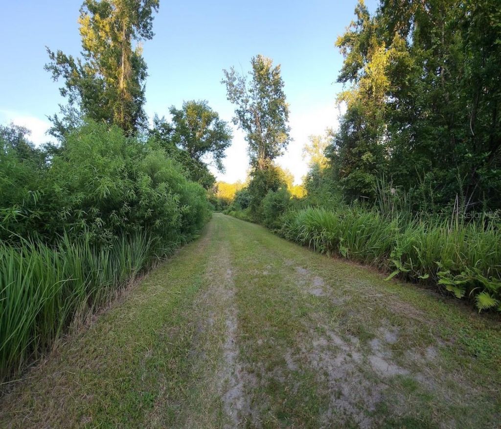 3435 N Highway 314a, Silver Springs, FL 34488 Photo