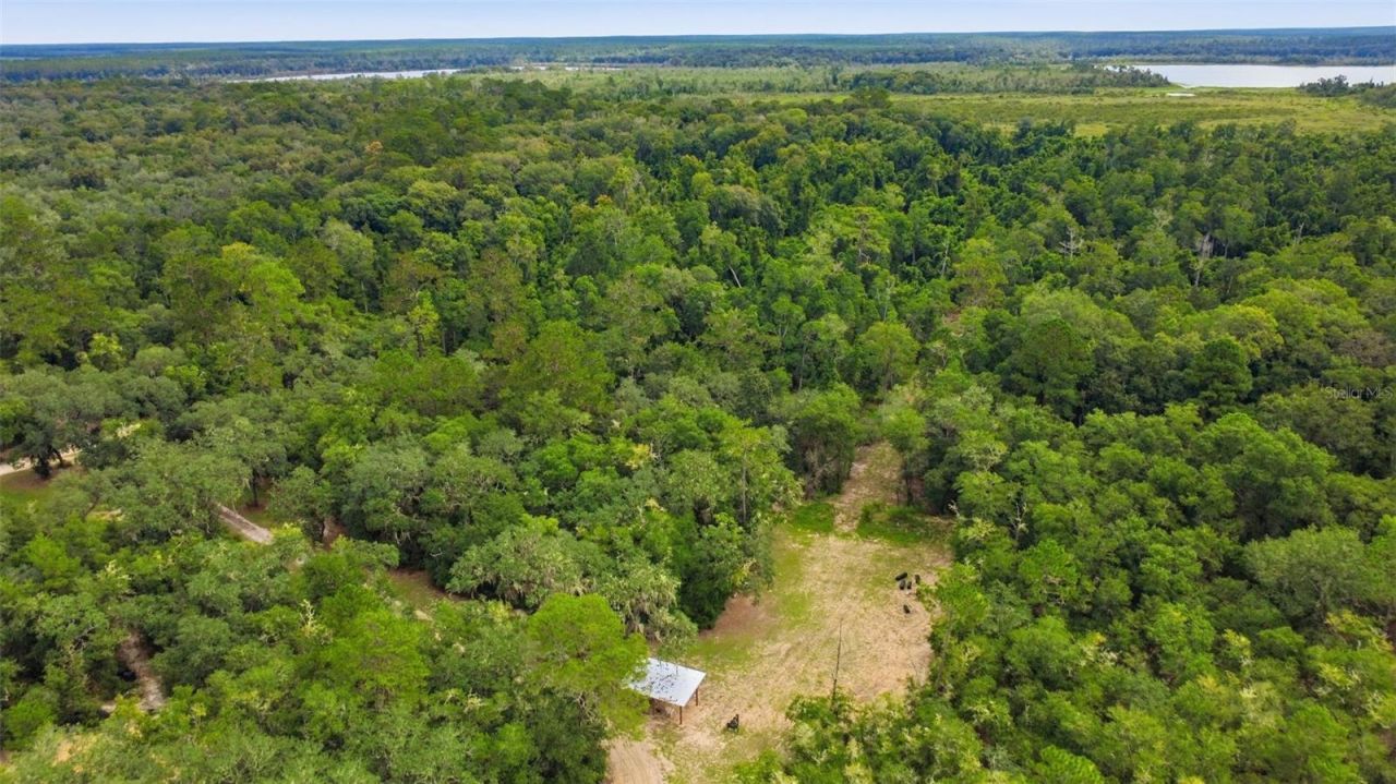 3435 N Highway 314a, Silver Springs, FL 34488 Photo
