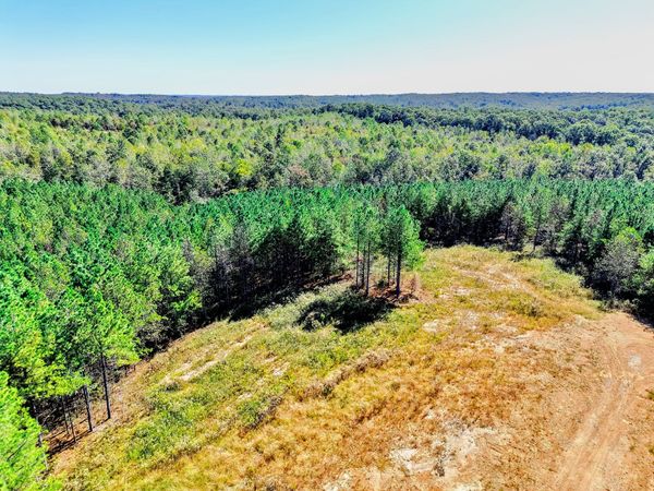 0 Warren Proctor Lane , Unit 50, Erin, TN 37061