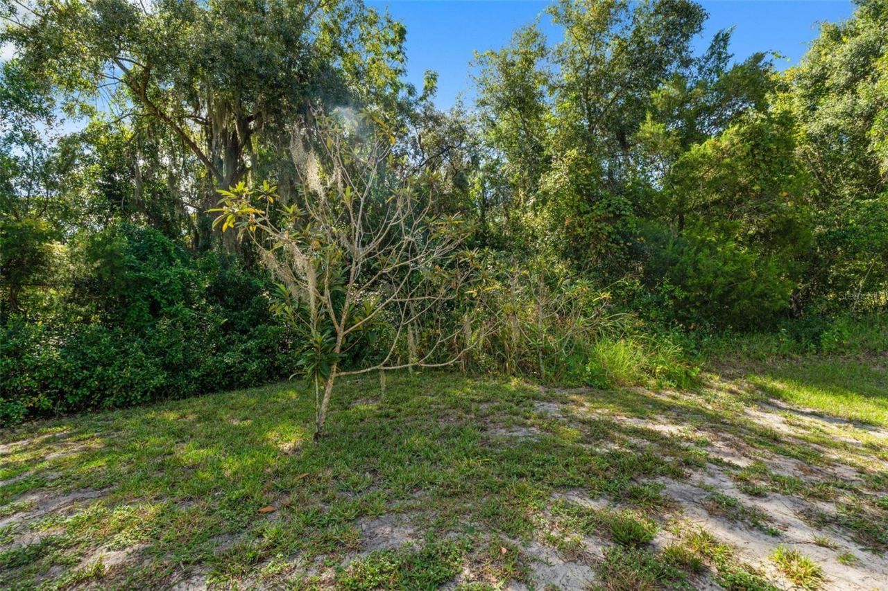 8943 Silver Lake Drive , Leesburg, FL 34788 Photo