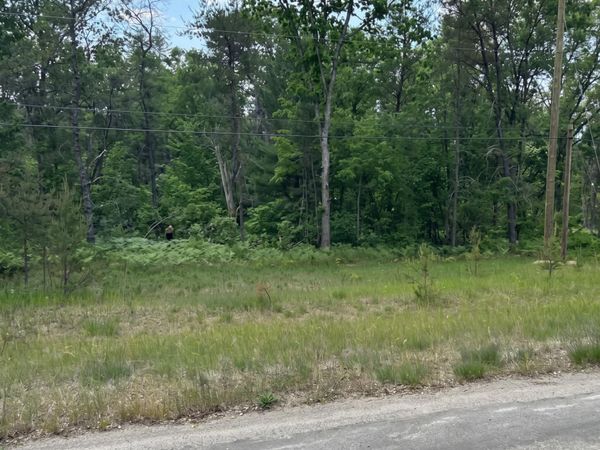 3188 S Yale Avenue, Baldwin, MI 49304