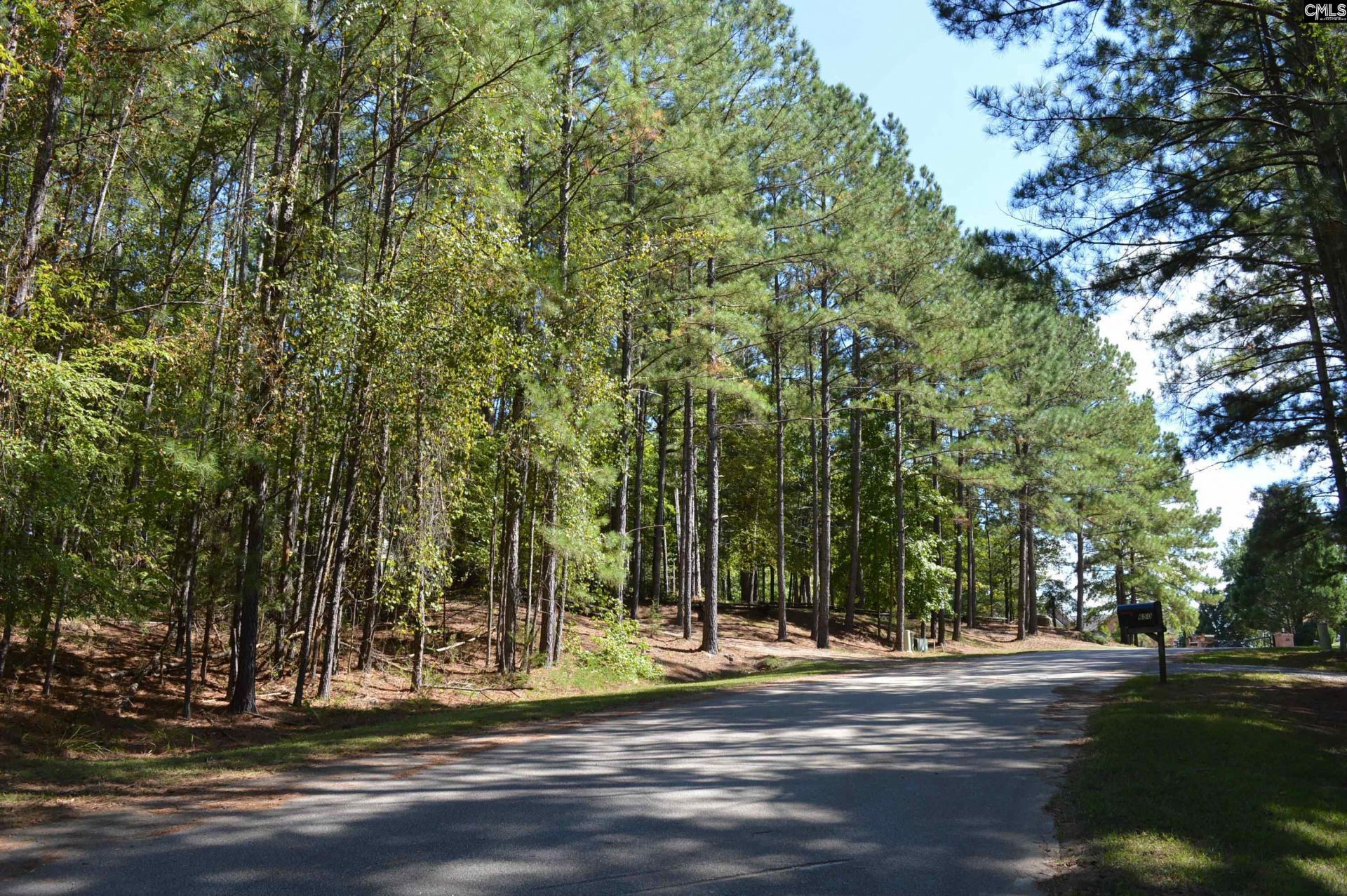 Lot 25 Wateree Key Court  Photo 10