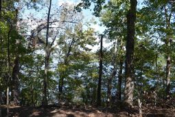Lot 25 Wateree Key Court  photo 4