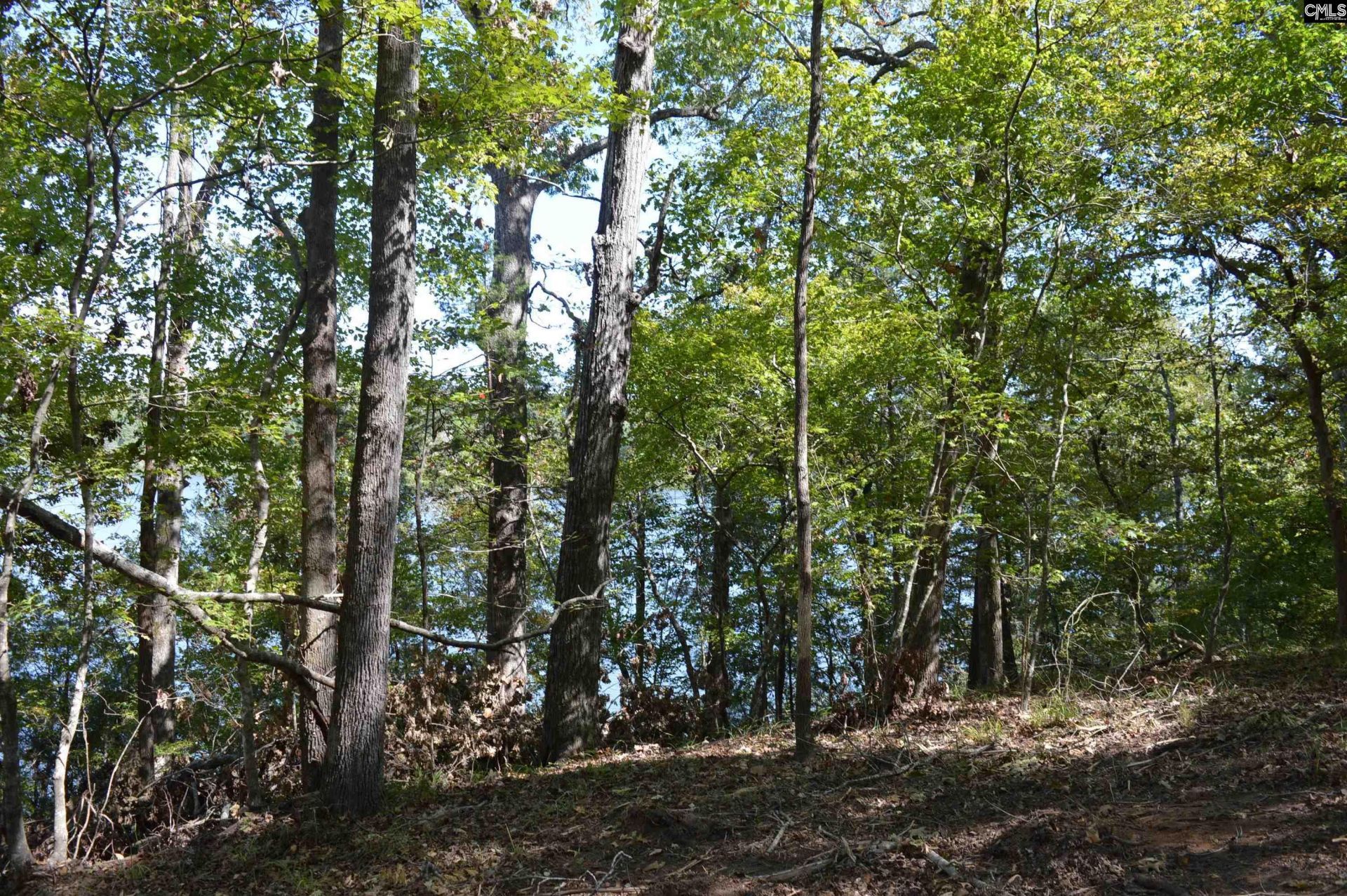 Lot 25 Wateree Key Court  Photo 4