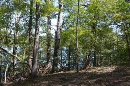 Lot 25 Wateree Key Court  photo 4