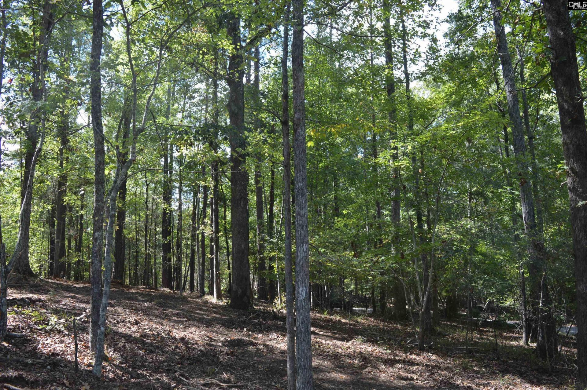 Lot 25 Wateree Key Court  Photo 5