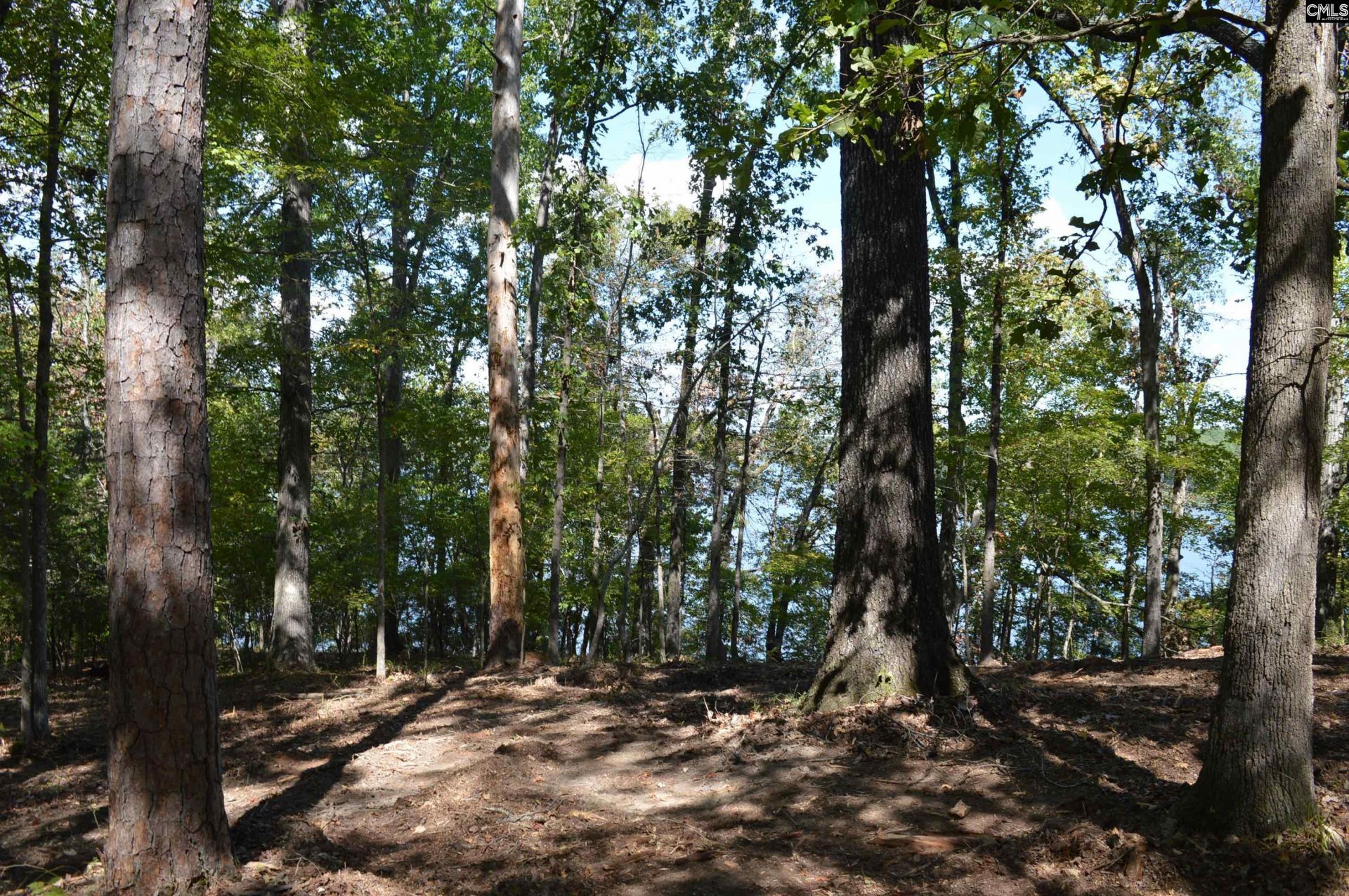 Lot 25 Wateree Key Court  Photo 6
