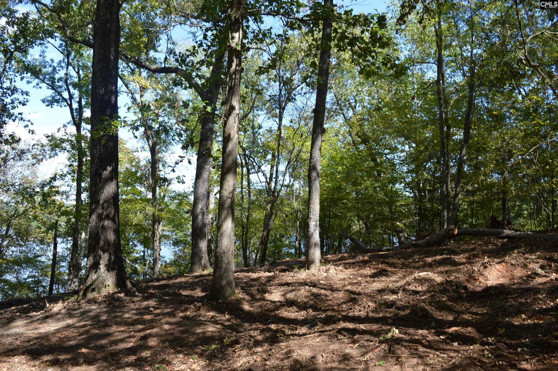 Lot 25 Wateree Key Court  Photo 7