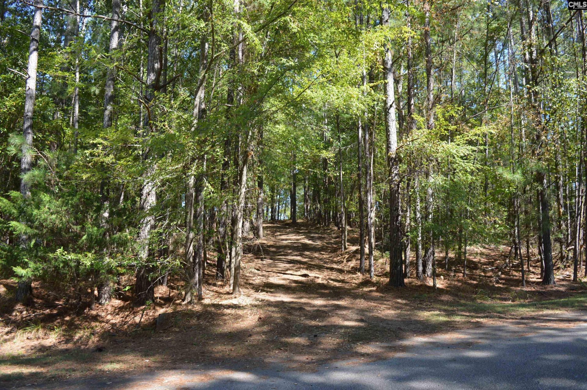 Lot 25 Wateree Key Court  Photo 9