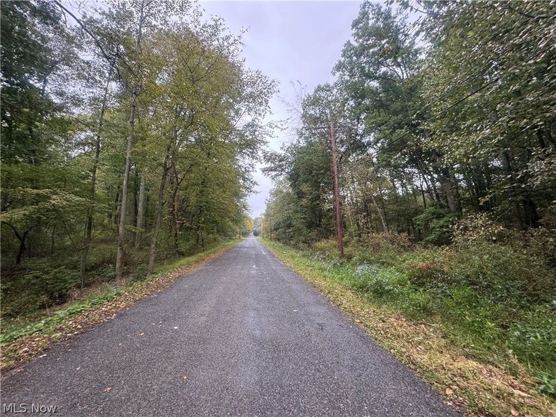 48250 Dyke Road, Negley, OH 44441 Photo 3