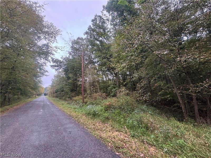 48250 Dyke Road, Negley, OH 44441 Photo 4