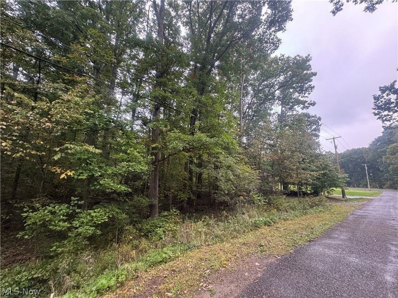 48250 Dyke Road, Negley, OH 44441 Photo 6