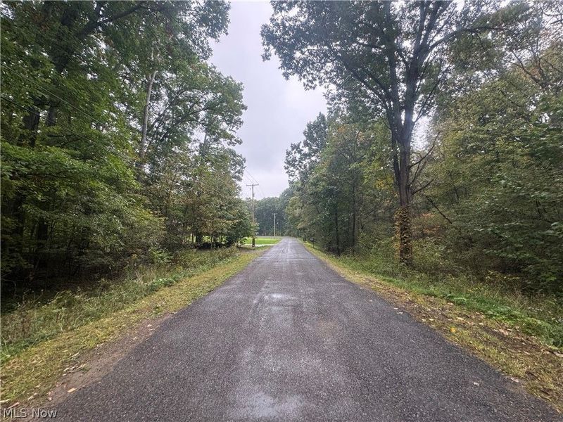 48250 Dyke Road, Negley, OH 44441 Photo 7