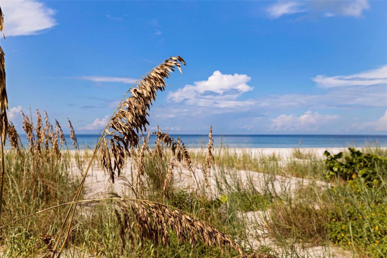 19616 Gulf Boulevard, Unit 302, Indian Shores, FL 33785 Photo