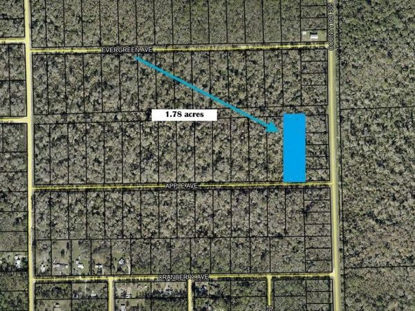 3540 APPLE AVENUE , BUNNELL, FL 32110