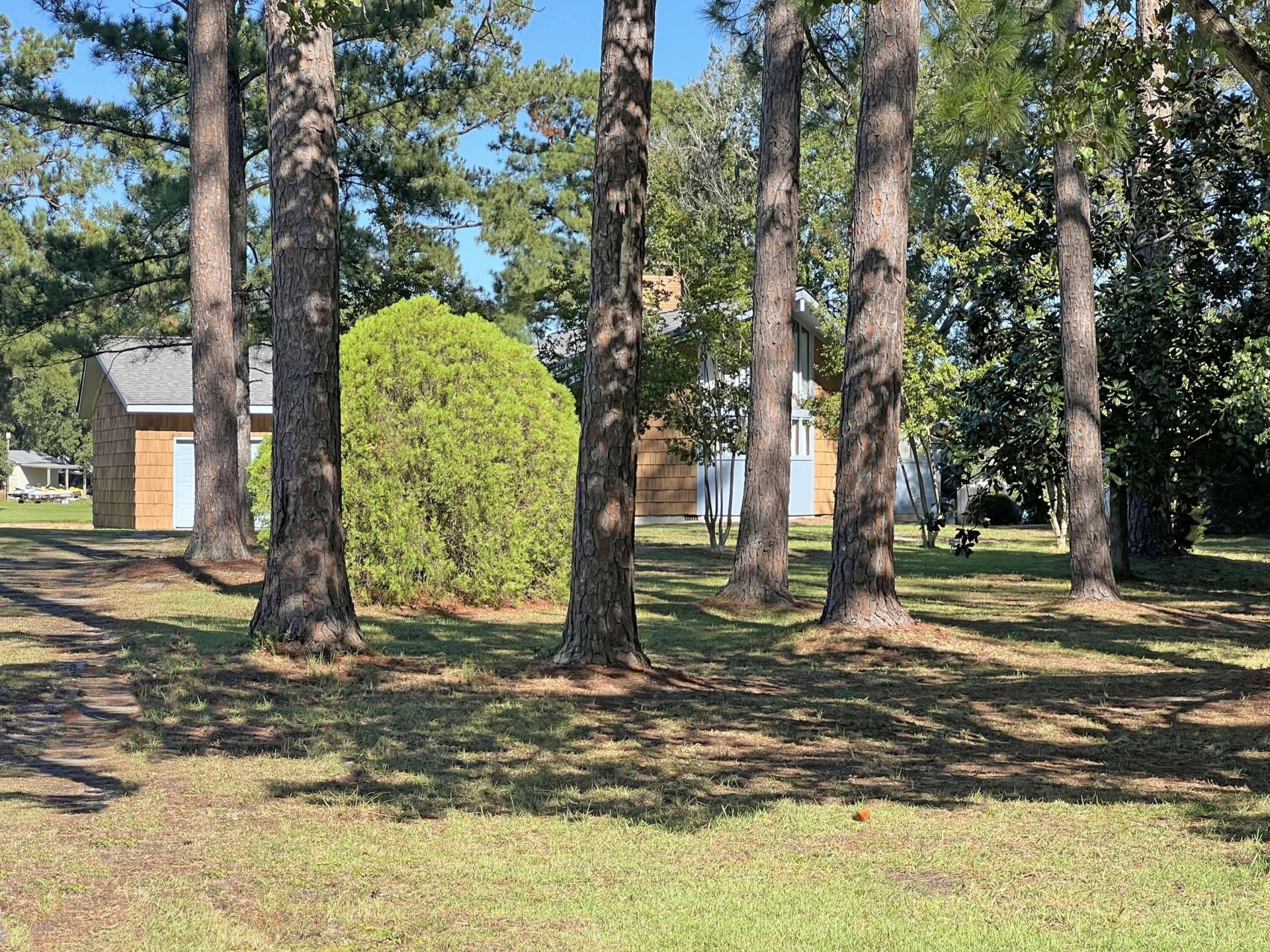 7773 Wash Davis Road Photo 12