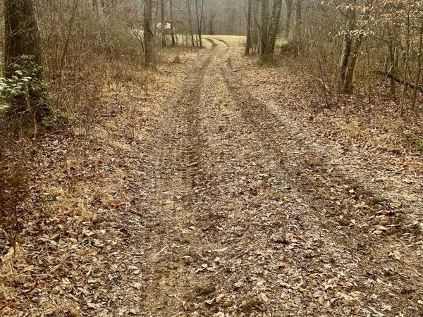 River Rd, Jacksboro, TN 37757