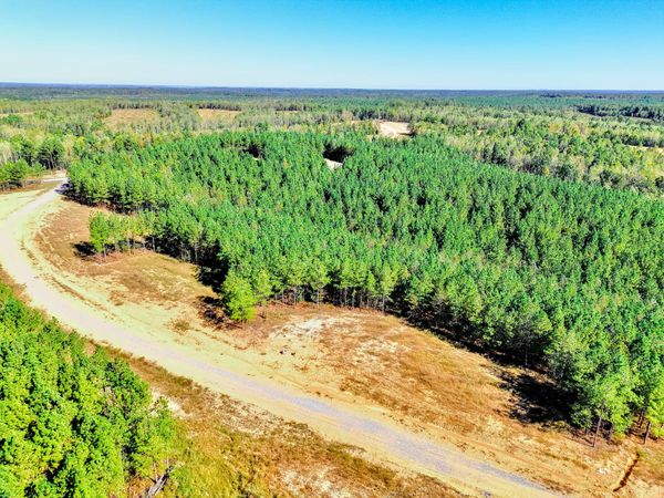 0 Warren Proctor Ln, Unit 33-35, Erin, TN 37061