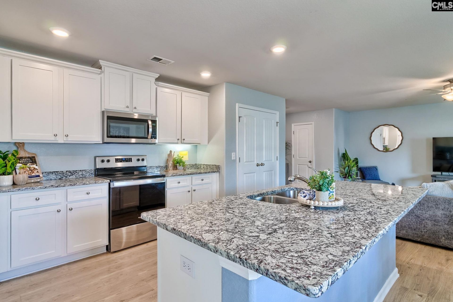 834 Red Berry Lane  Photo 9